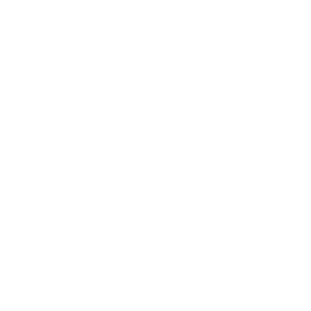 Lissa home Logo